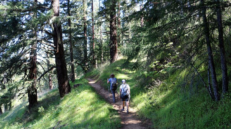A dirt trail through grass, not an exercise mat